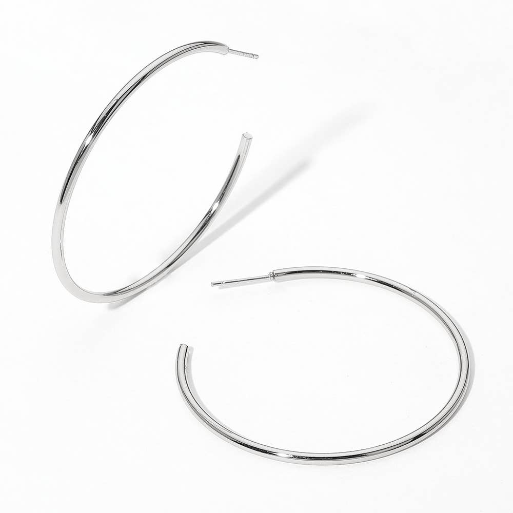 Stainless Steel Hoop Earrings